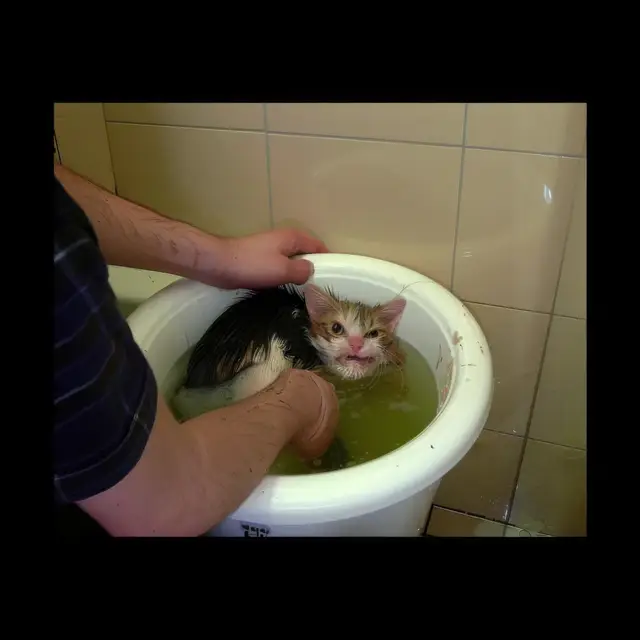 Unfortunate-Bath by Mind Wank
