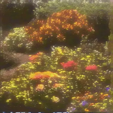no one told the flowers to stop by noper