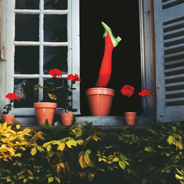 Guy Bourdin Archives by Guy Bourdin