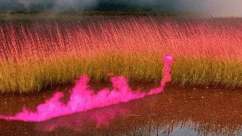 Marsh That Knows You by noper