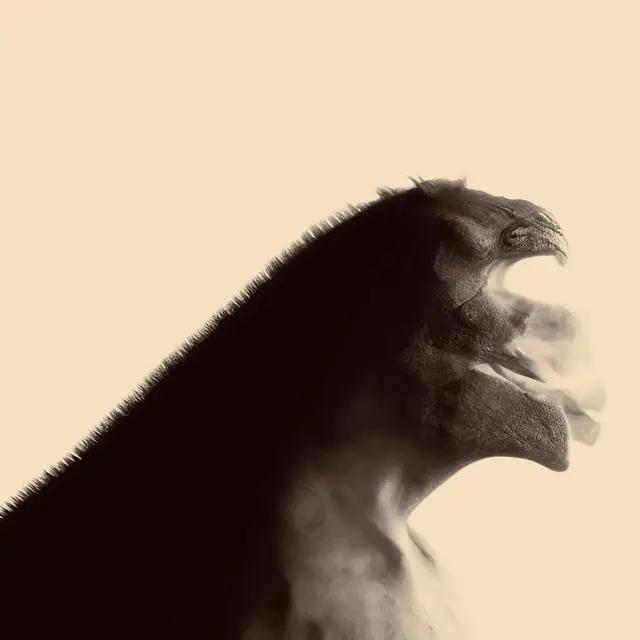 EVOLUTION IS A LOOP by Riccardo Silano