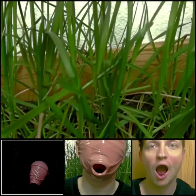 Shapeshifting-Holes by Mind Wank