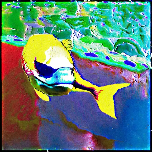 Pelagofex umbra (2) by cydr and noper