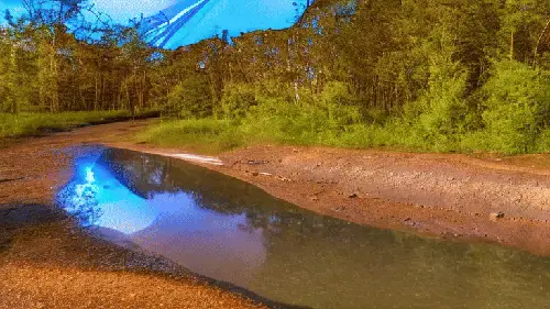 I Went Rafting But The River Dried by noper