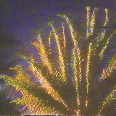 bright palm, quiet lot by noper