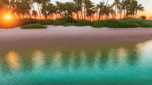 I Want to Own an Island by noper