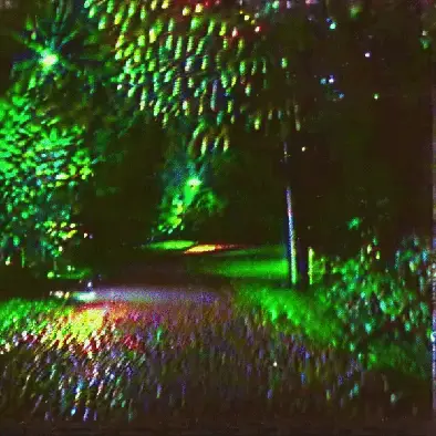 the trees made a tunnel for us by noper