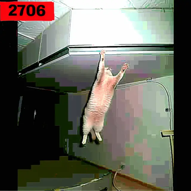 Jumping-Cat-2706 by Mind Wank