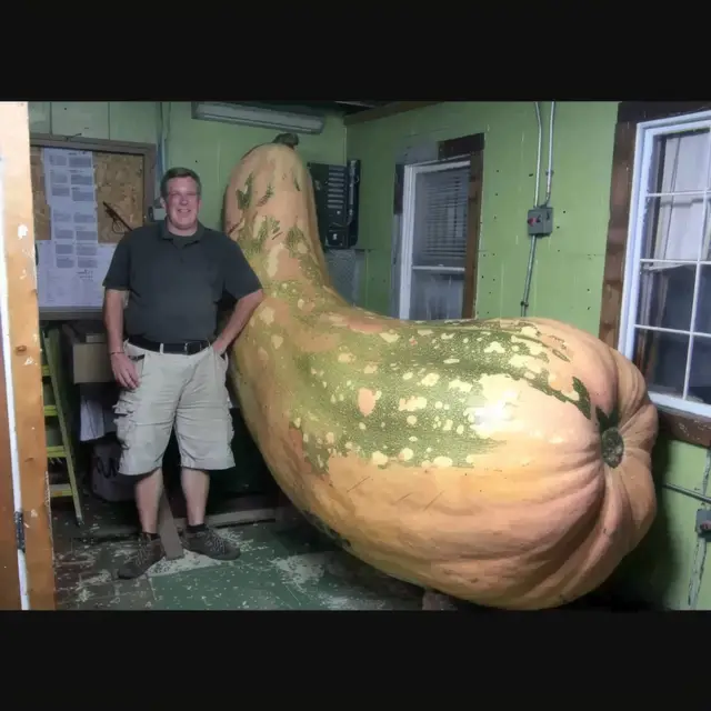 Look-What-I-Grew by Mind Wank