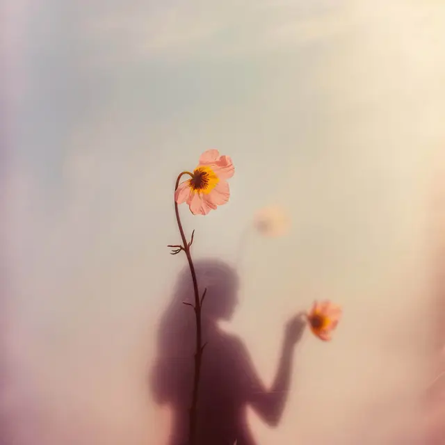 I Saw It In A Dream by Alina Trifan