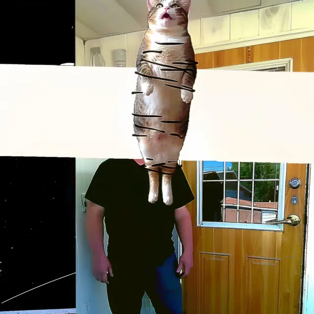Wired-Cat by Mind Wank