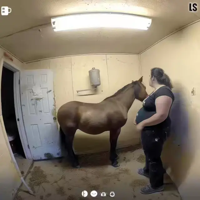 She's-Stable by Mind Wank