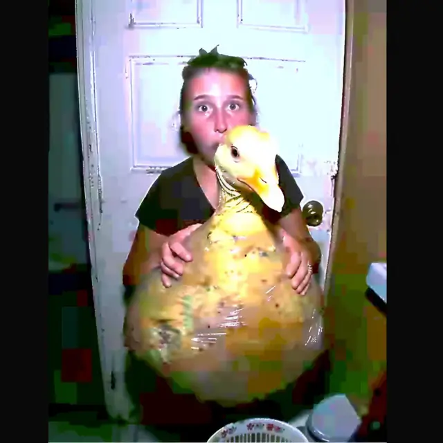 Ducking-Out by Mind Wank