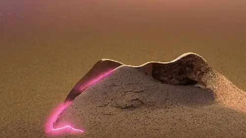 Rock Toad by noper