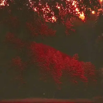 they've come to take me by noper