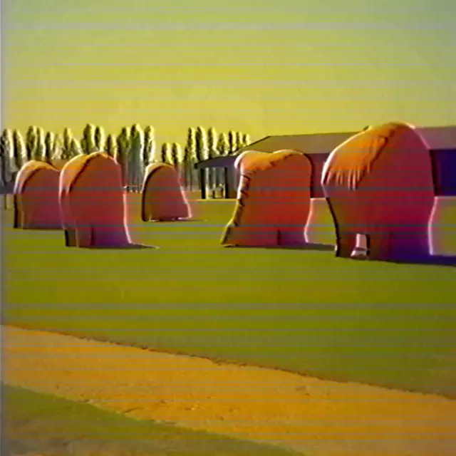 Suburban Wildlife by Quantum Communications