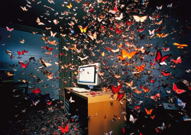 Freedom flutter by Nathan Boey