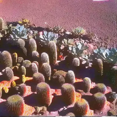 cactuar paintings by noper