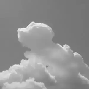 la muerte de un perrito