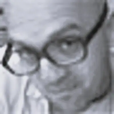 Simon Denny